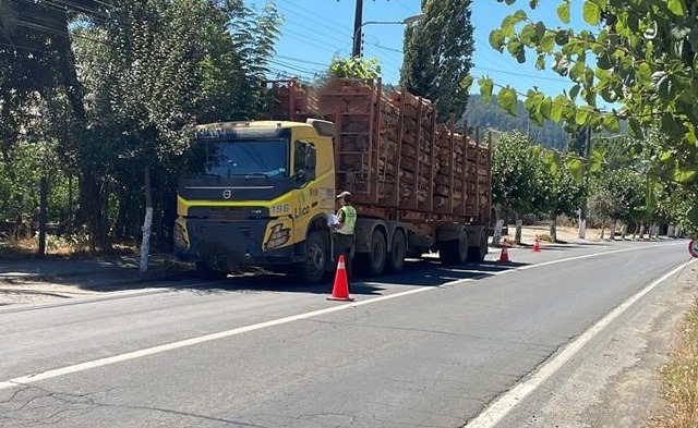 Carabineros-de-reten-Trehuaco-detuvo-a-conductor-que-transportaba-madera-sin-respaldo-legal