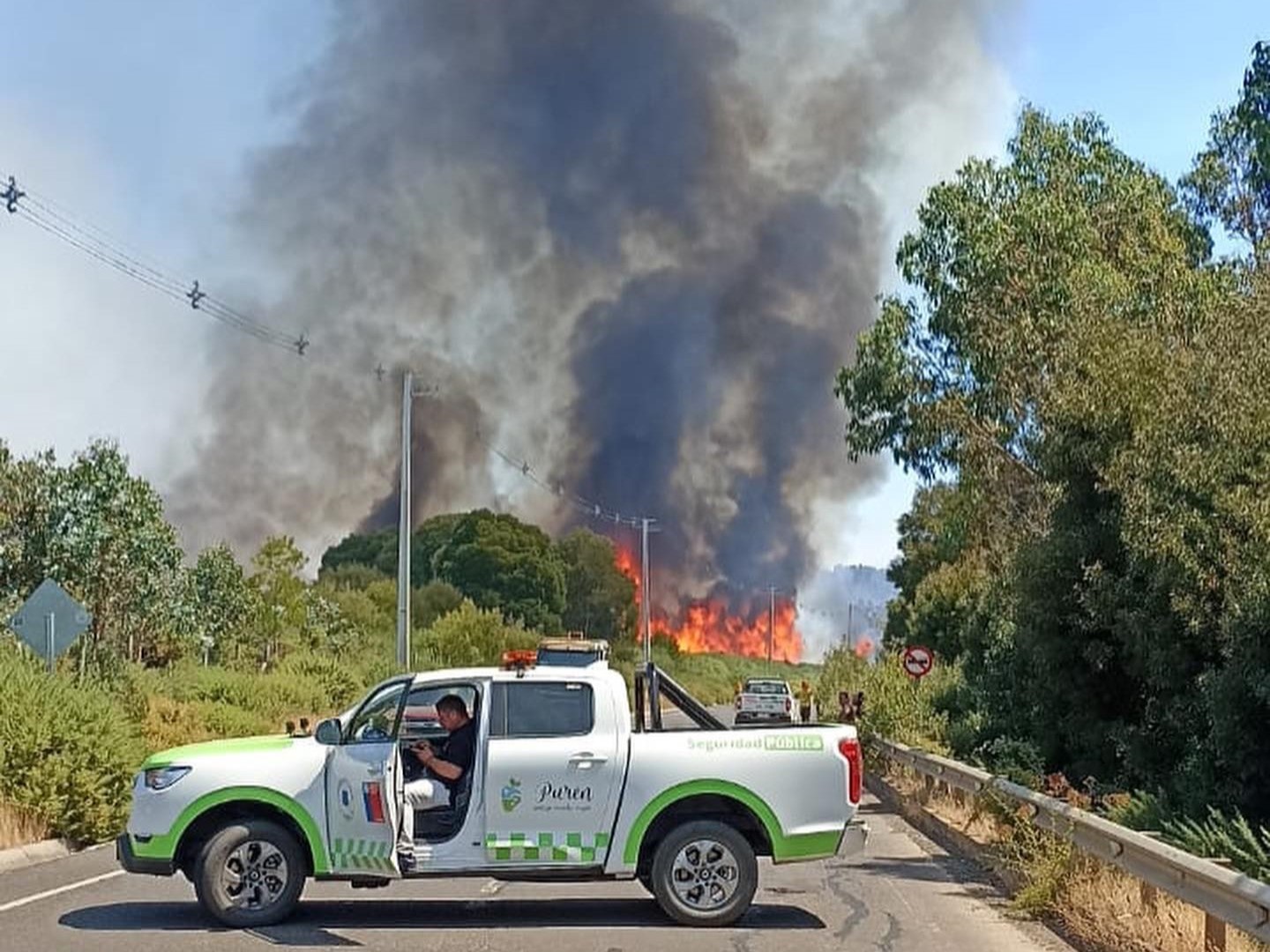 Incendio purén