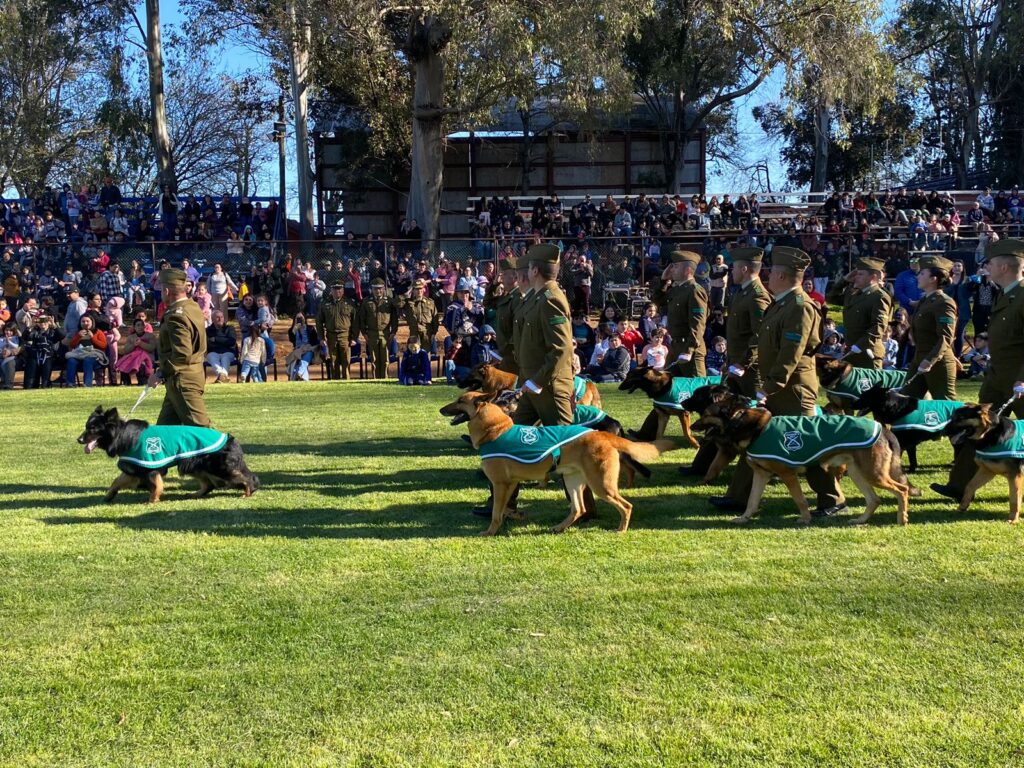 Brigada-Canina-de-Carabineros-llega-a-Chillan-en-marco-del-programa-aniversario-institucional1-1024x768