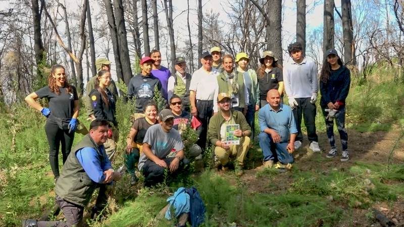 Comunidad-de-Quillon-se-une-en-la-Restauracion-del-Cerro-Cayumanque