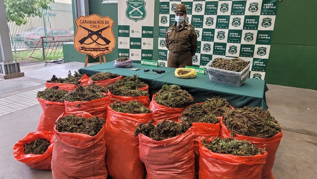 El-Carmen-Carabineros-del-OS7-Nuble-incauto-1.700-millones-de-pesos-en-marihuana-1-1024x578