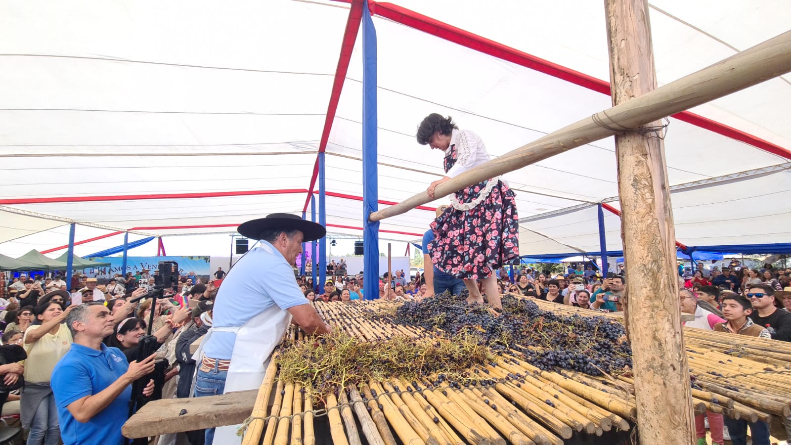 Zarandeo Fiesta de la Vendimia de Lonquén 2024