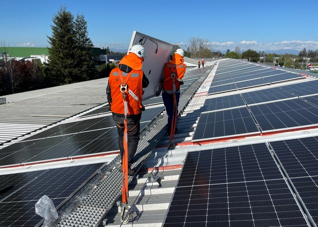 Una-red-fotovoltaica-que-sigue-creciendo-la-planta-de-CMPC-en-Chillan-3