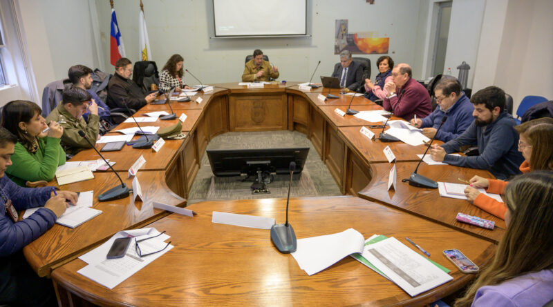 consejo-de-seguridad-800x445