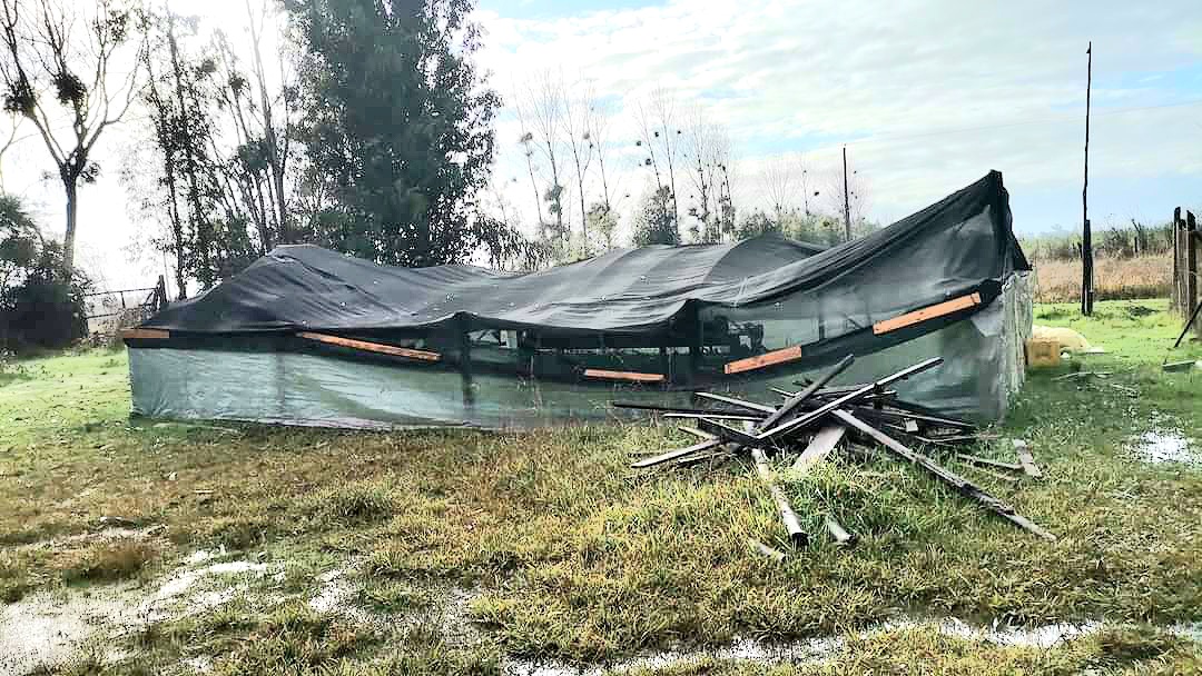 Invernadero destruido Sistema Frontal San Pedro de Lilahe