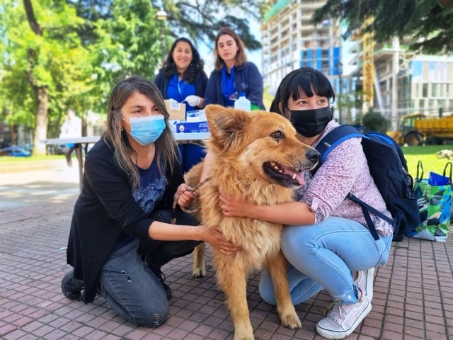 Municipio-realizara-jornada-de-difusion-de-adopcion-de-mascotas-1