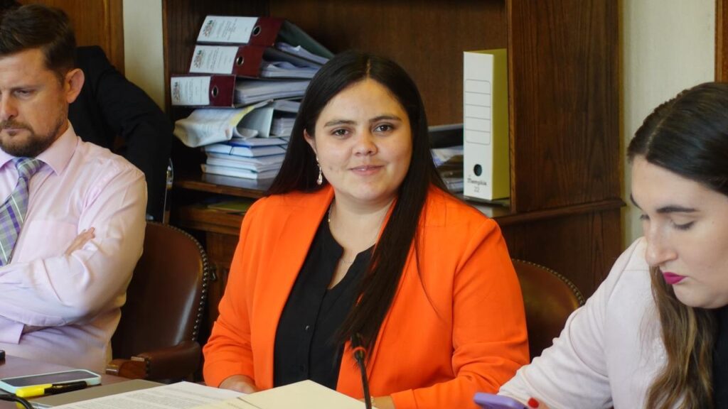 Diputada-Sara-Concha-1-1-1024x576