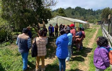 Visita-a-granja-agroecologica-en-Buchupureo-3