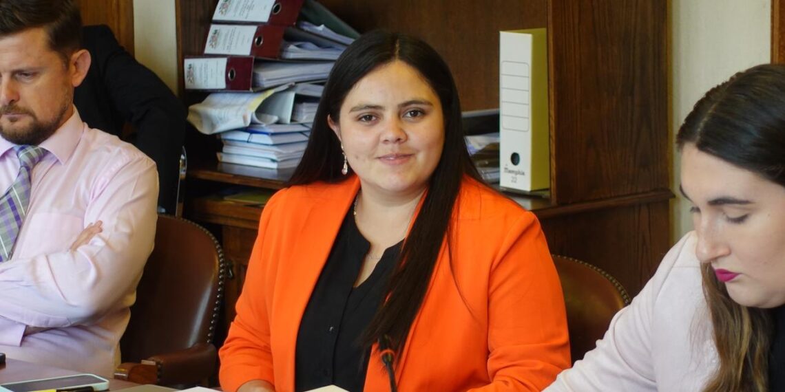Diputada-Sara-Concha-1-2-1140x570