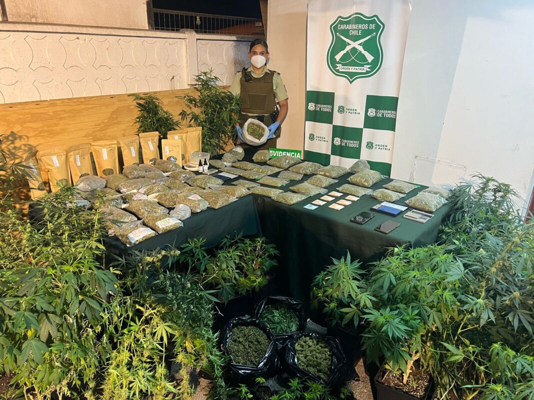 Fiscalia-formaliza-a-dos-imputados-por-cultivo-ilegal-de-cannabis-sativa-1068x801