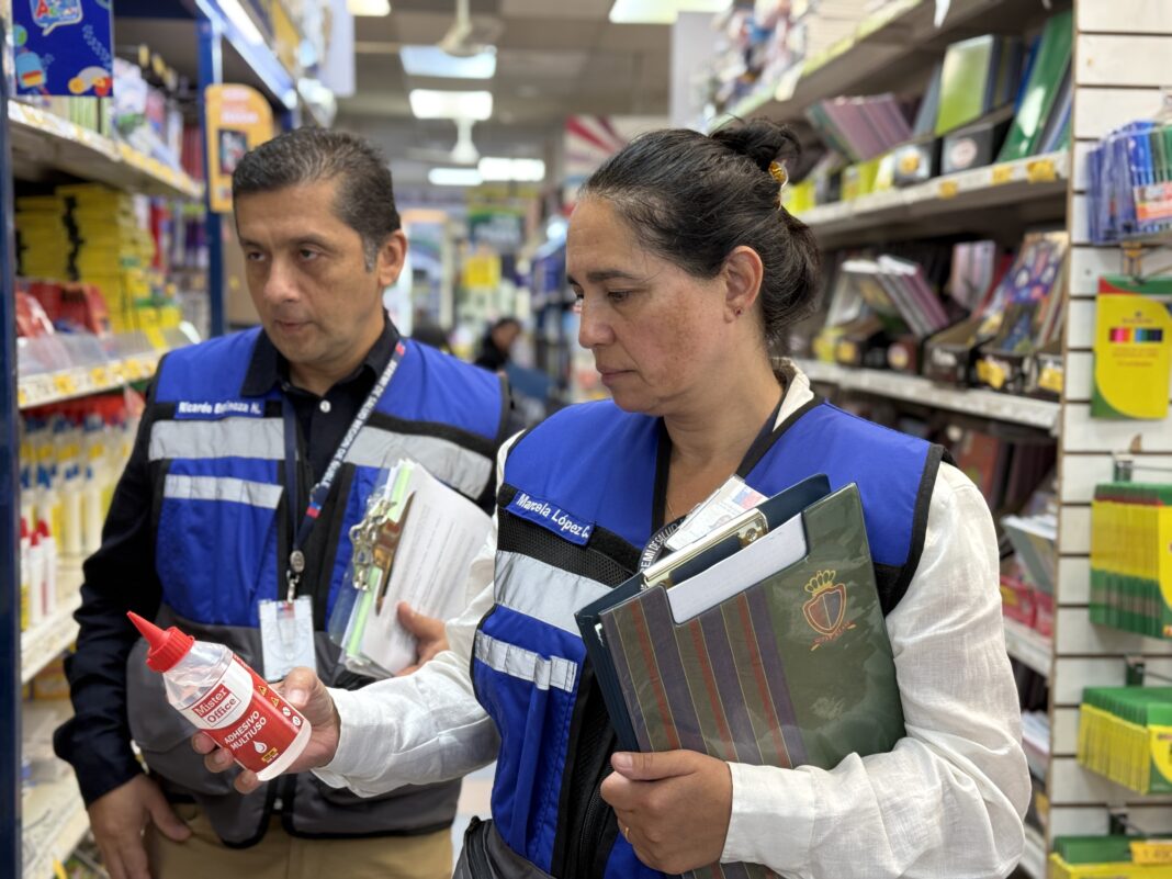 SEREMI-de-Salud-Nuble-fiscaliza-adhesivos-y-pegamentos-3-1068x801