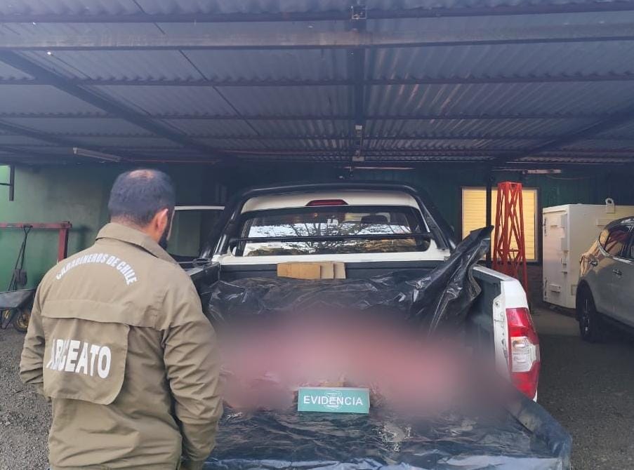 Carabineros-desarmo-matadero-ilegal-en-San-Fabian
