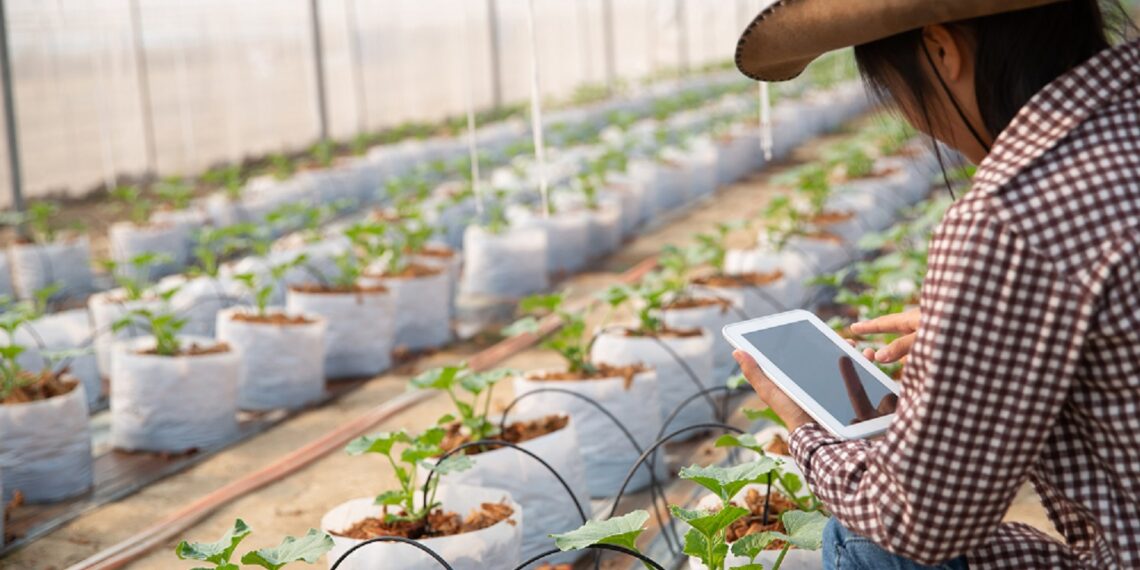 young-woman-controlling-plantation-2-1140x570