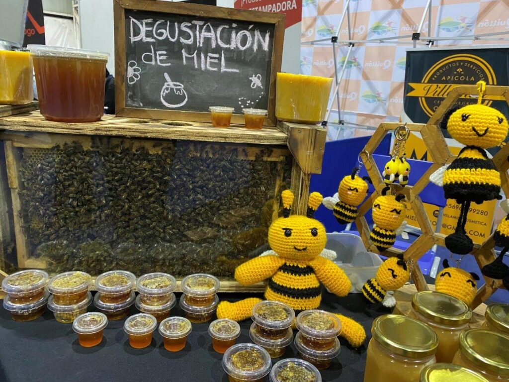 Quillon-fue-sede-del-Quinto-Seminario-Apicola-20-1024x768