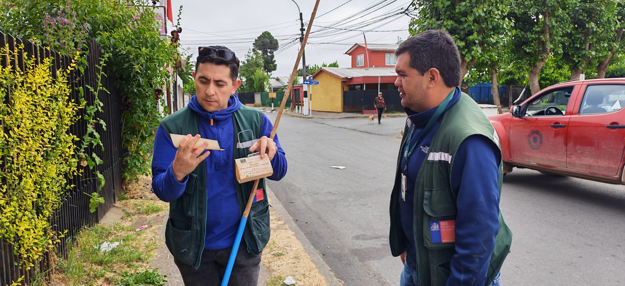 revision terreno trampa mosca