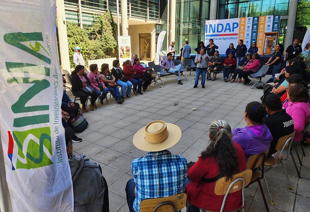 Programa TAS secano interior de Ñuble 1