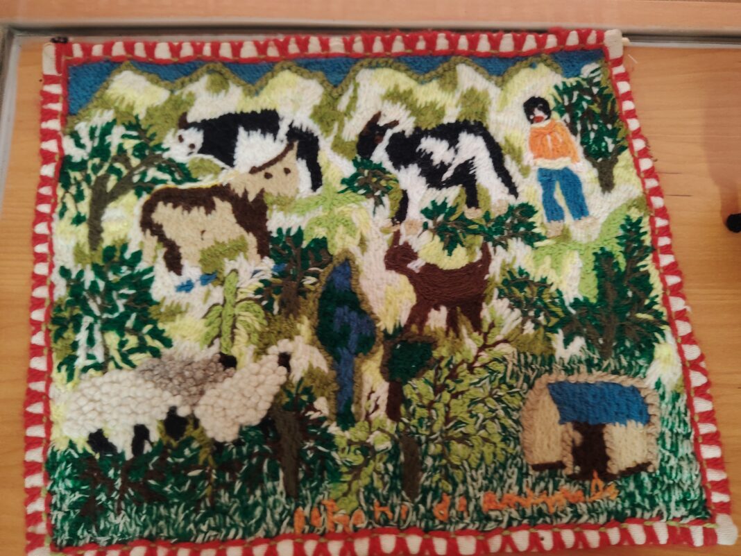 Mujeres-trenzando-saberes-1068x801