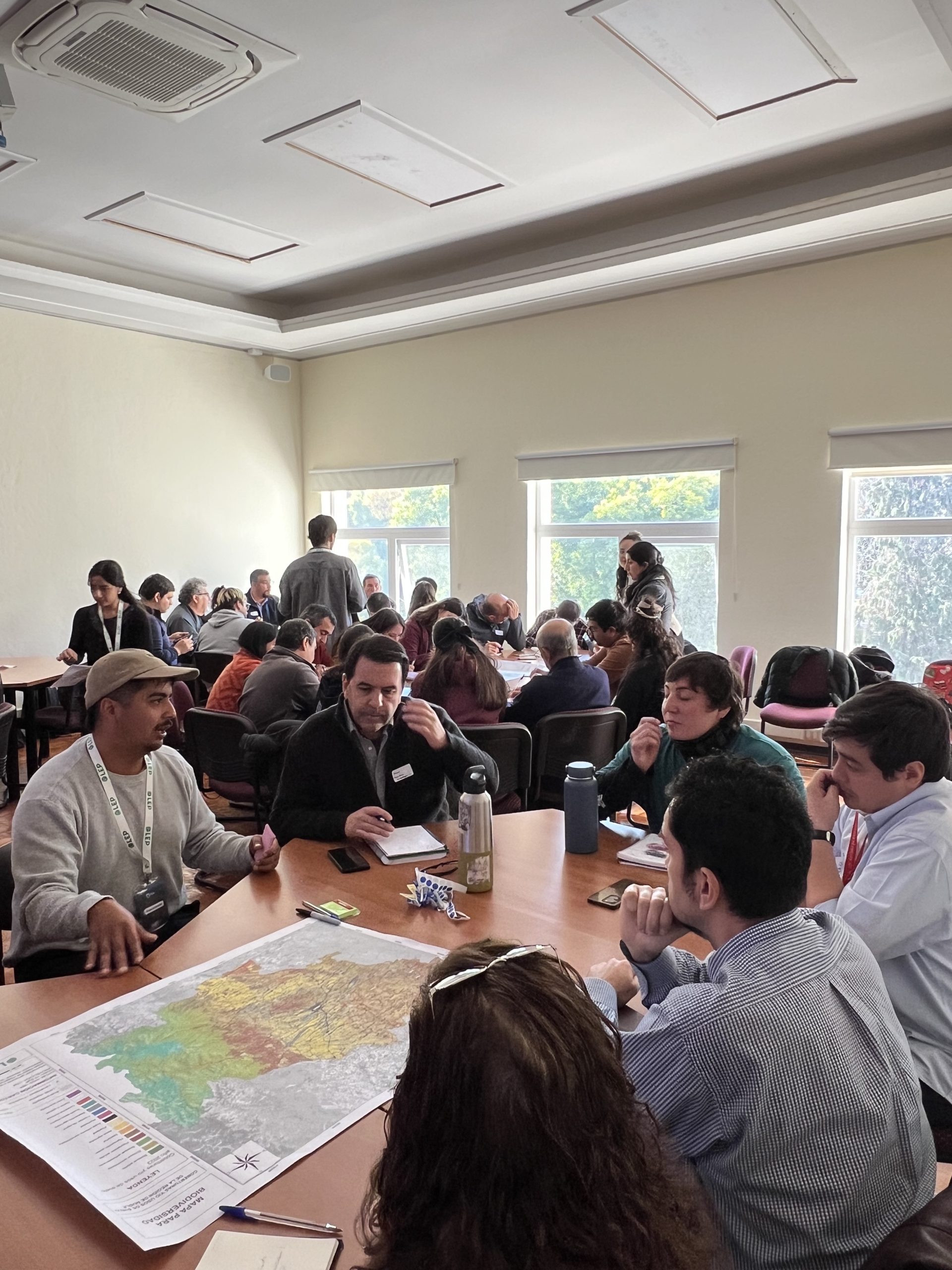 TALLER DE PLANIFICACIÓN ECOLÓGICA CHILLÁN 3
