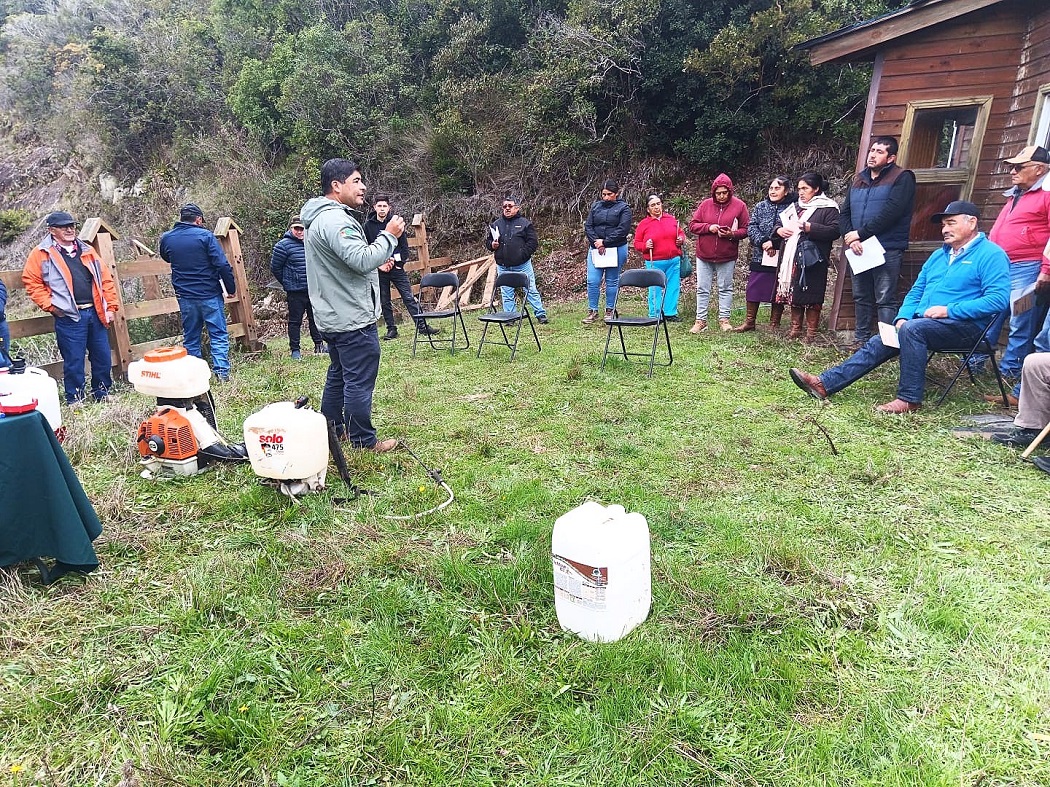 Arauco 1