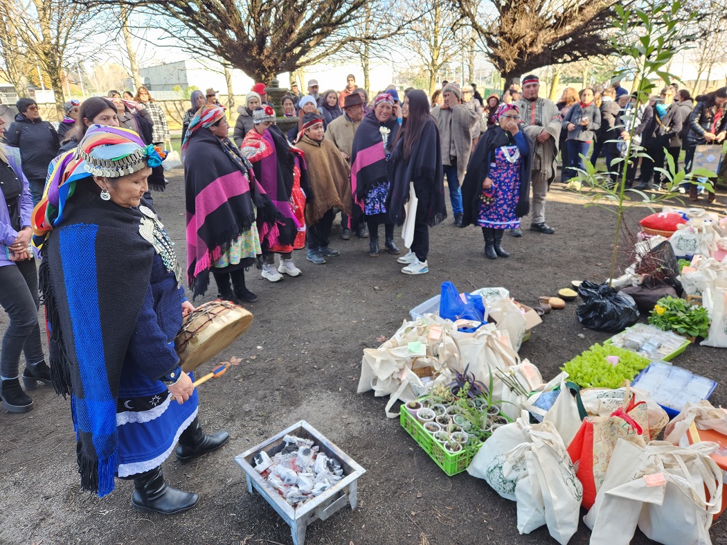 Rosa Huenchulaf, lideró Llellipún en el contexto de año nuevo mapuche
