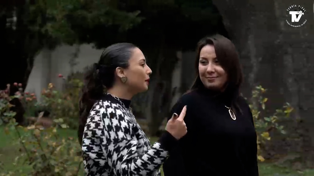 Teoría Viral 6