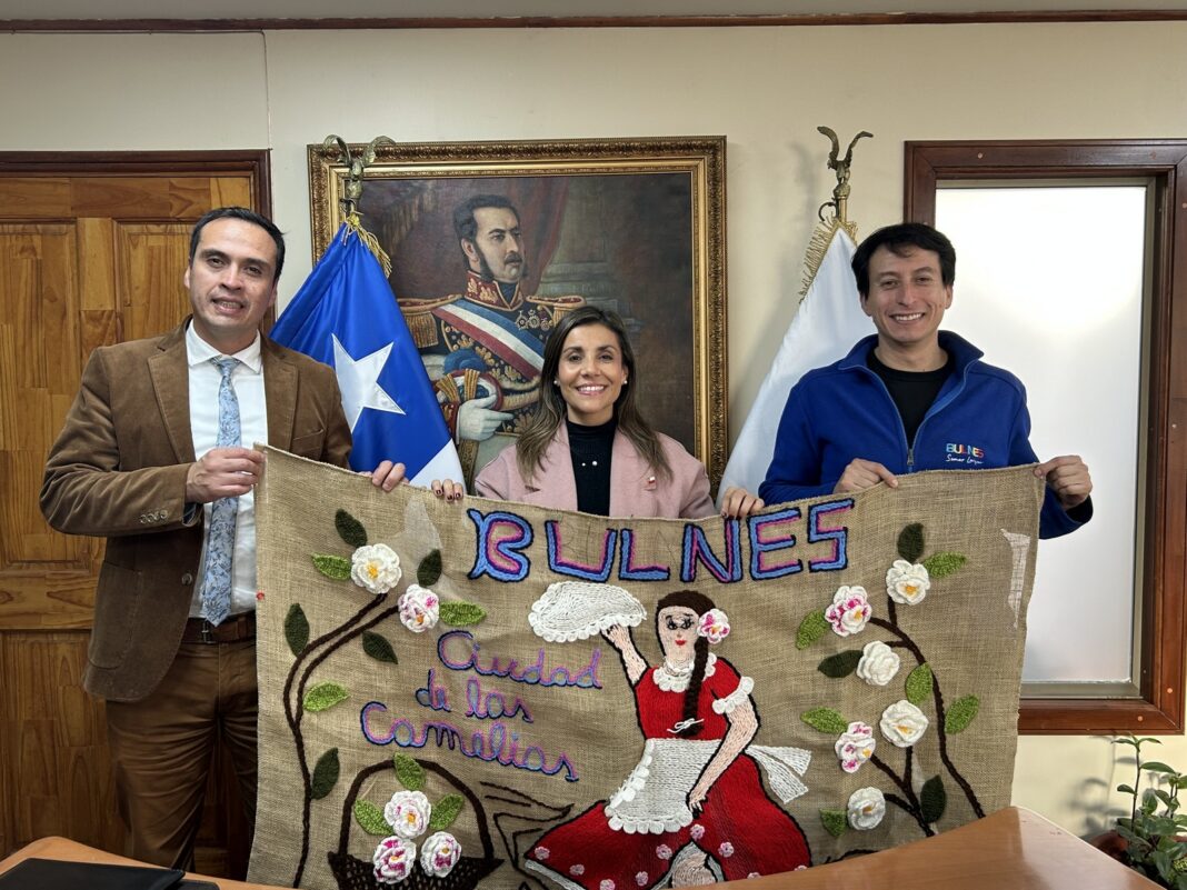 Seremi-de-las-Culturas-y-Municipio-de-Bulnes-refuerzan-trabajo-conjunto-1068x801